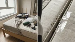 Jak sprawdzić, czy w sypialni są pluskwy – ugryzienia, ślady i pierwsze kroki