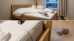 Jak sprawdzić, czy w domu są pluskwy domowe – objawy, kryjówki i co zrobić jako pierwsze